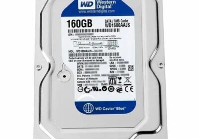 160gb-desktop-hard-disk-500×500-3