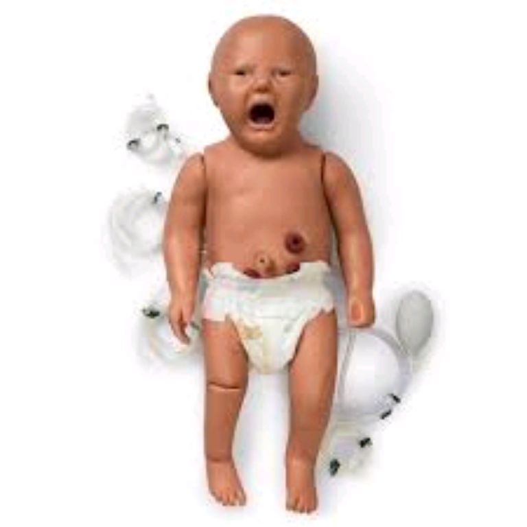 Hospital CPR Manikin By Scantrik