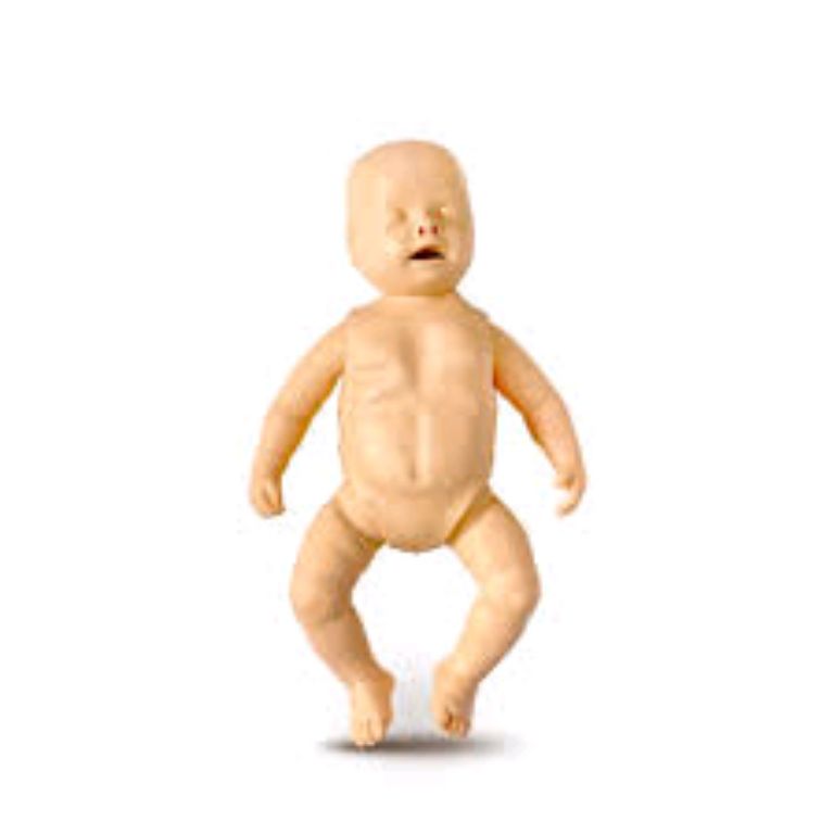 Infant CPR Manikin By Scantrik