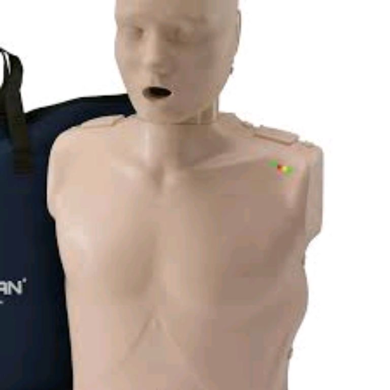 CPR Manikin Body Model by Scantrik