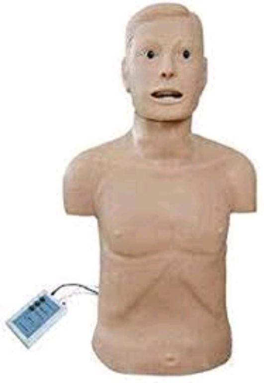 Rubber Half Body Manikin By Scantrik