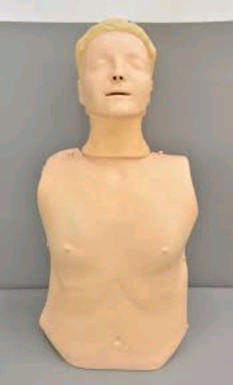 Adult CPR Training Manikin By Scantrik