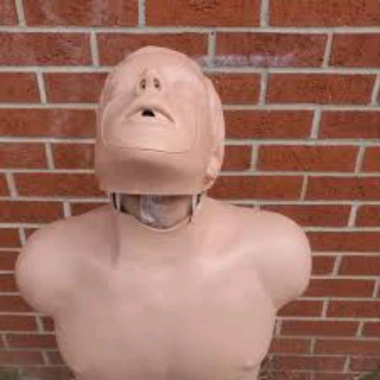 Medical Training CPR Manikin By Scantrik
