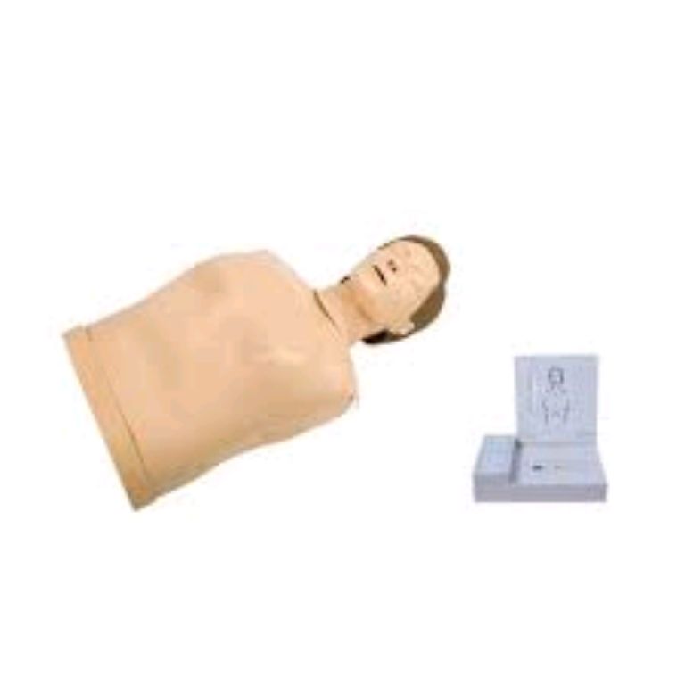 CPR Manikin Model by Scantrik