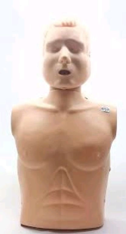 CPR Adult Manikin Model by Scantrik