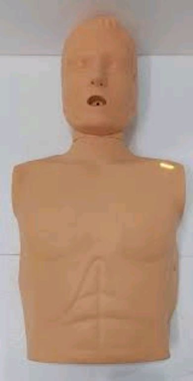 Adult Training CPR Manikin By Scantrik