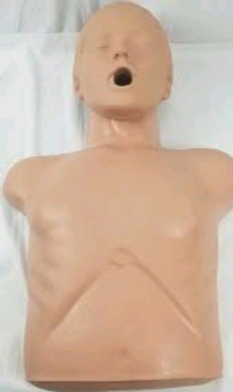 Training CPR Manikin Adult by Scantrik