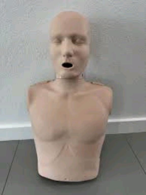 Male CPR Manikin By Scantrik
