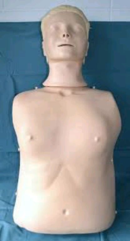 Adult Manikin CPR by Scantrik