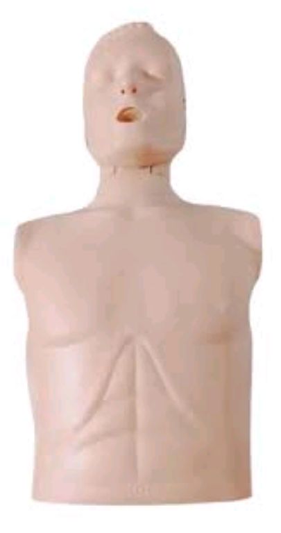 Male Manikin CPR by Scantrik