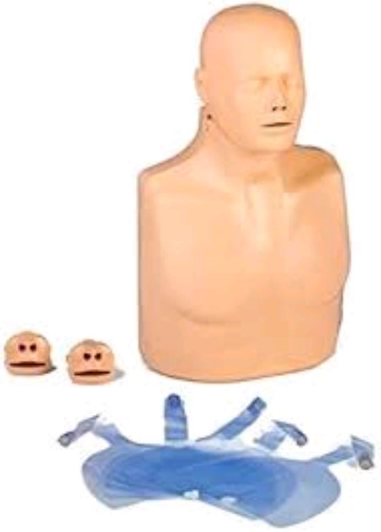 Adult CPR Manikin By Scantrik