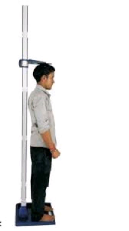 Stadiometer Medical By Scantrik