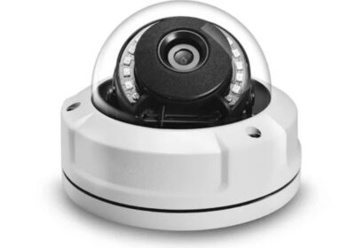 IMG_20240710_24853-1