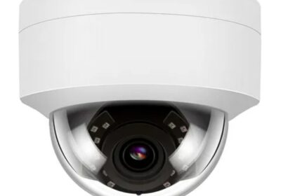 IMG_20240710_25797-1