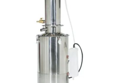 IMG_20240710_28863-1