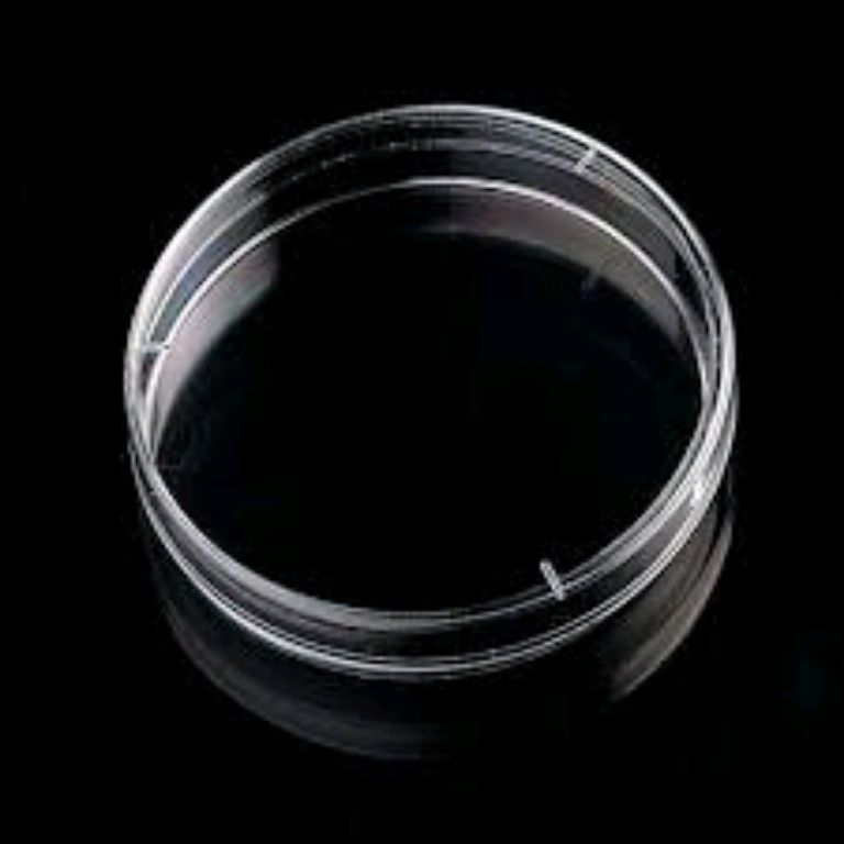 Medical Petri Plate By Scantrik