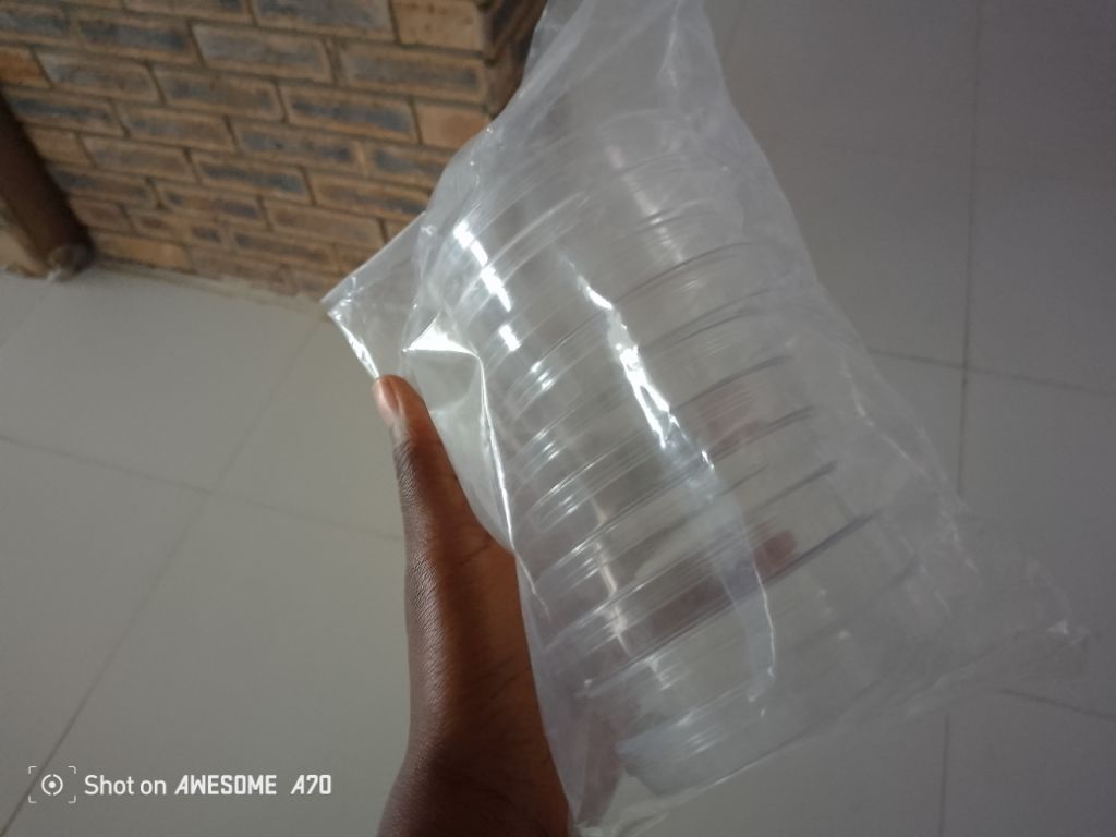 Sterile Petri Dish by Scantrik