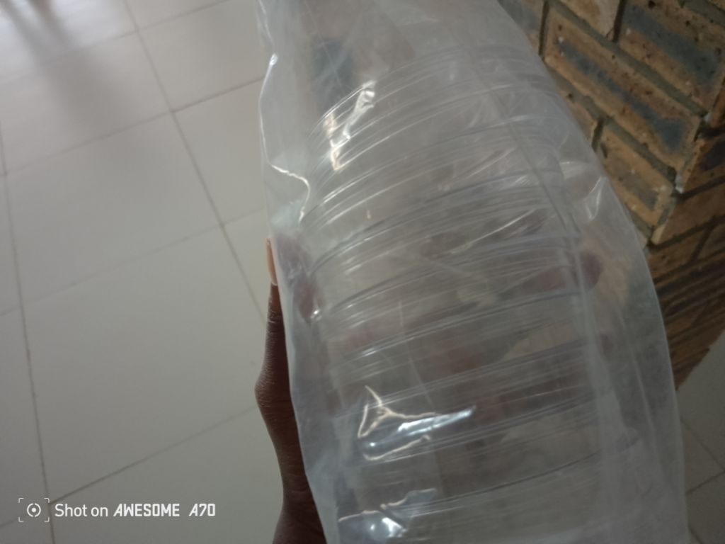 Sterile Medical Petri Dish by Scantrik