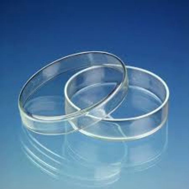 Plastic Culture Plate By Scantrik