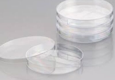 IMG_20240716_32911-1