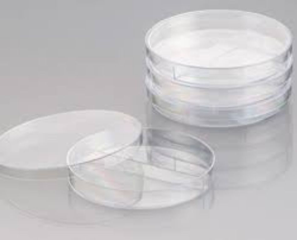 Plastic Sterile Petri Dish by Scantrik