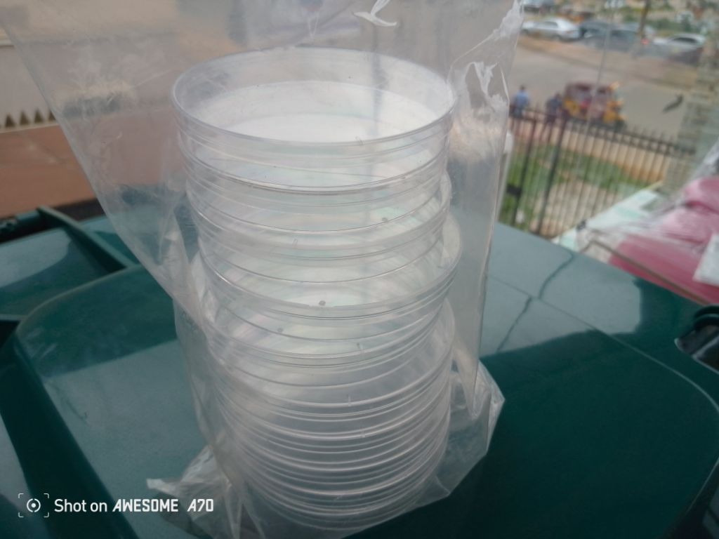 Culturing dish by Scantrik