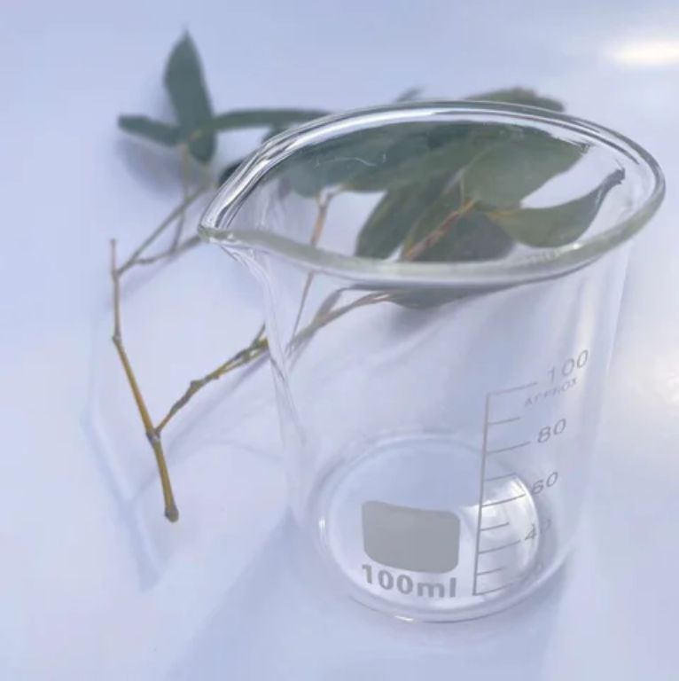100ML Glass Beaker By Scantrik