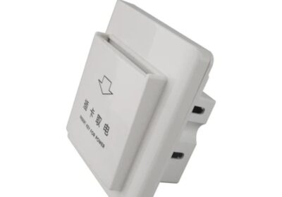 IMG_20240717_31834-1