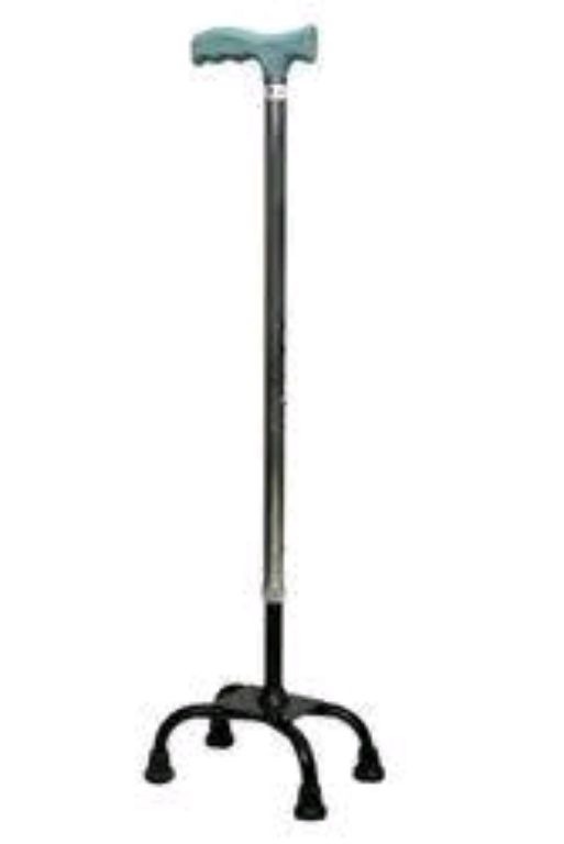 Walking Stick 4 Foot By Scantrik