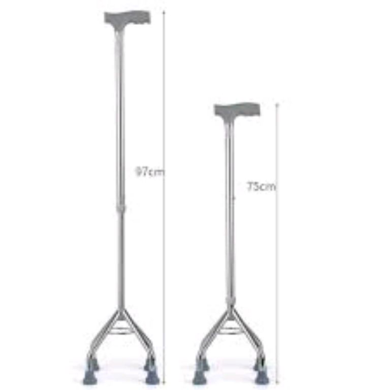 Walking Stick With 4 Small Feet By Scantrik