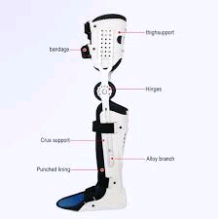 Brace Knee Ankle Foot By Scantrik