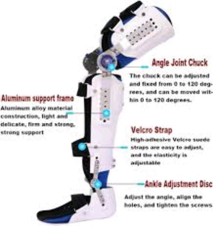 Knee Ankle Foot Support By Scantrik
