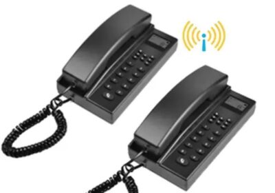 IMG_20240723_17959-2