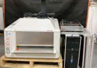 IMG_20240725_16624-1