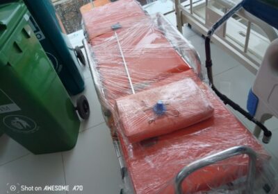 IMG_20240725_25488-1