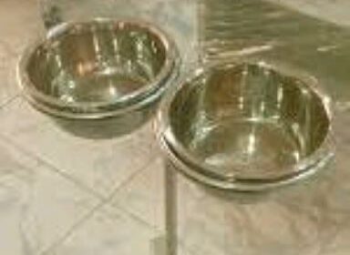 IMG_20240726_28161-1