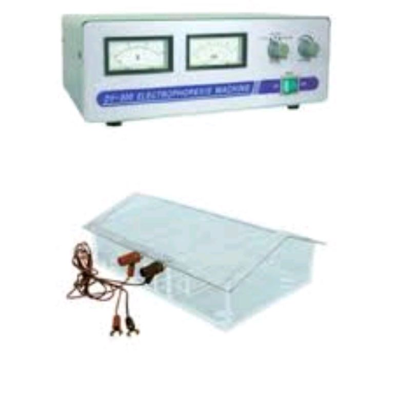 Electrophoresis Machine For Genotype By Scantrik