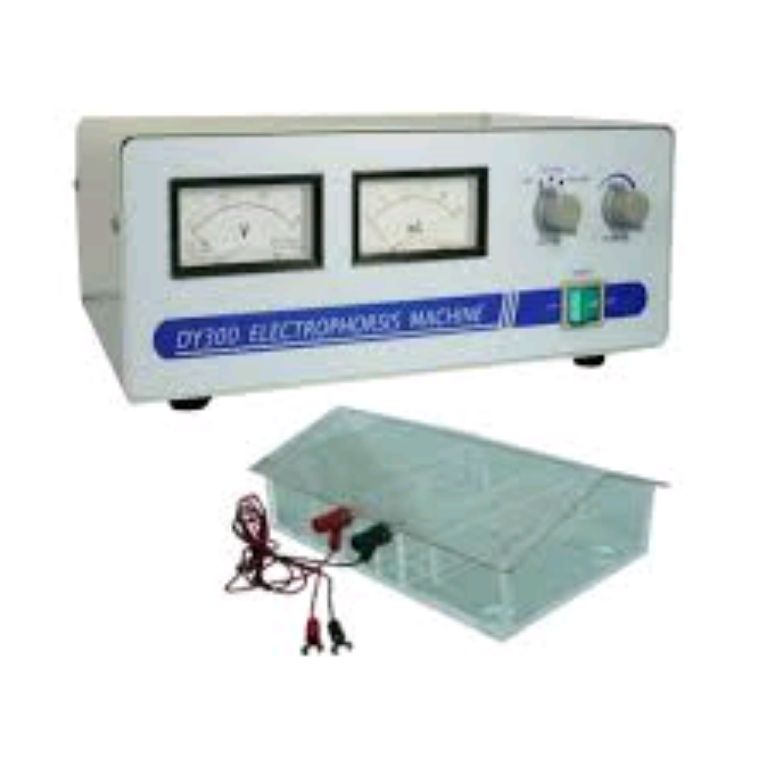 Electrophoresis Machine System By Scantrik