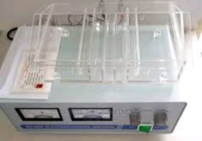 IMG_20240726_47735-1