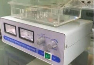 IMG_20240726_48545-1