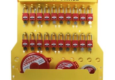 IMG_20240726_58988-1