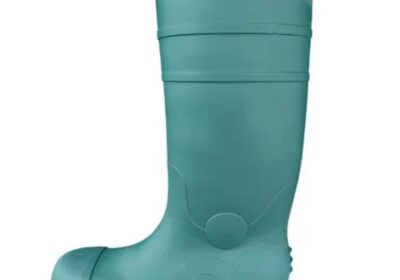 IMG_20240727_34245-1