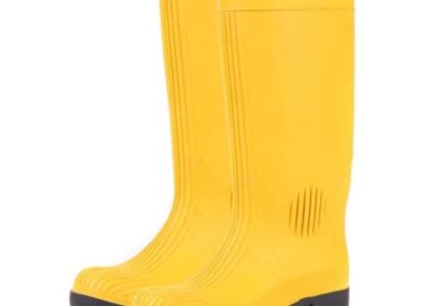 IMG_20240727_38117-1