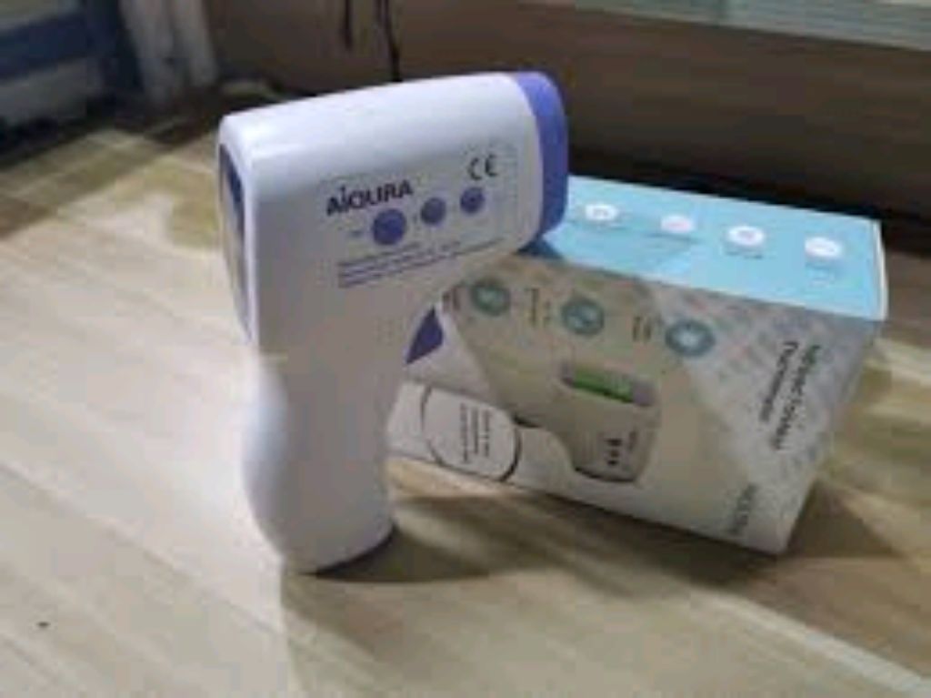 Portable Thermometer By Scantrik