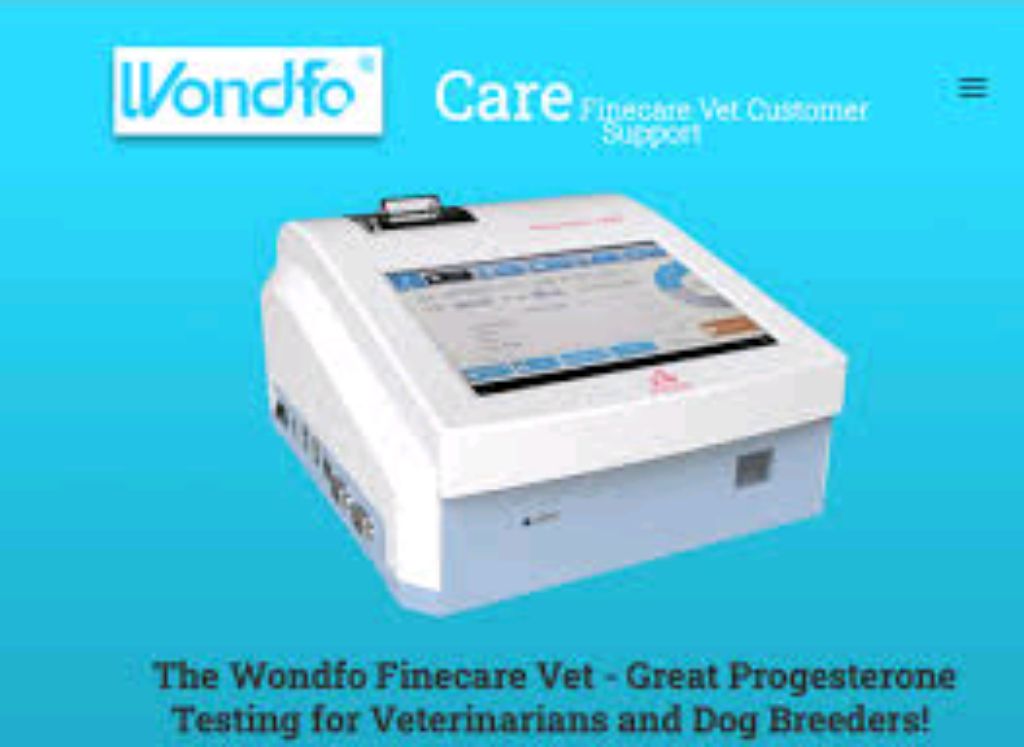 Fluorescence Immunoassay Machine By Scantrik