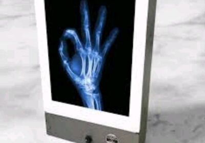 IMG_20240801_21184-1