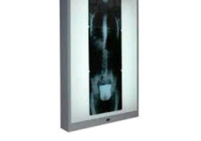 IMG_20240801_21562-1