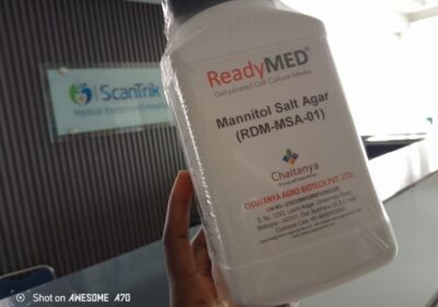 IMG_20240806_58547-1