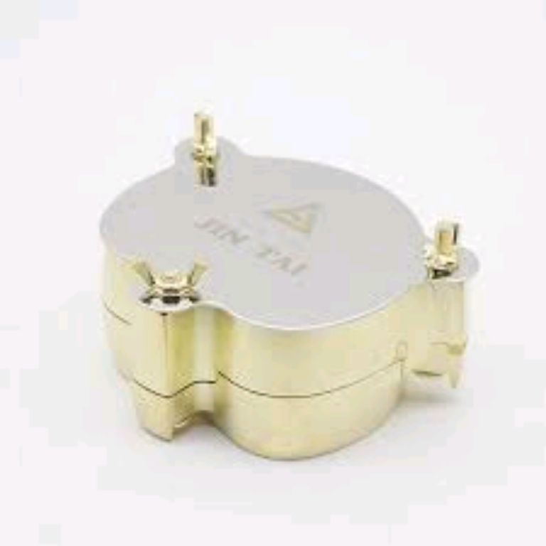 Denture Flask By Scantrik