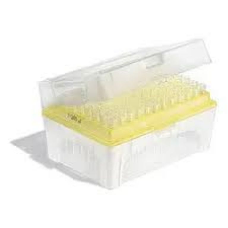 Plastic 200ul Micropipette Tip Box By Scantrik